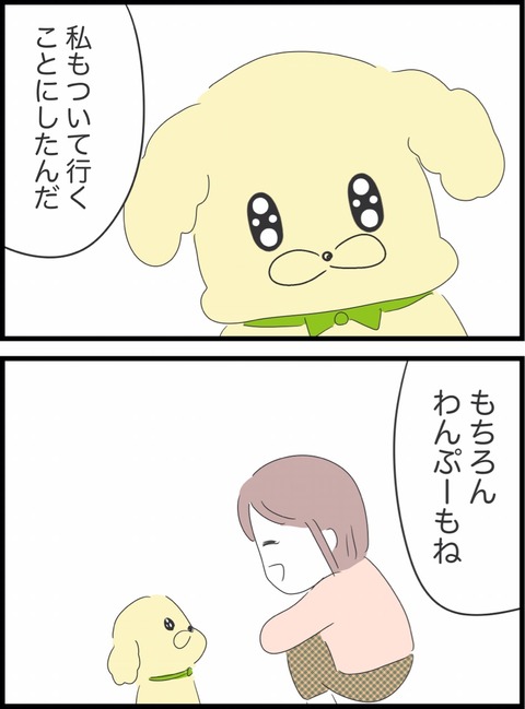 C807E7A5-A645-429C-B4CD-1E67C6B7F2C8
