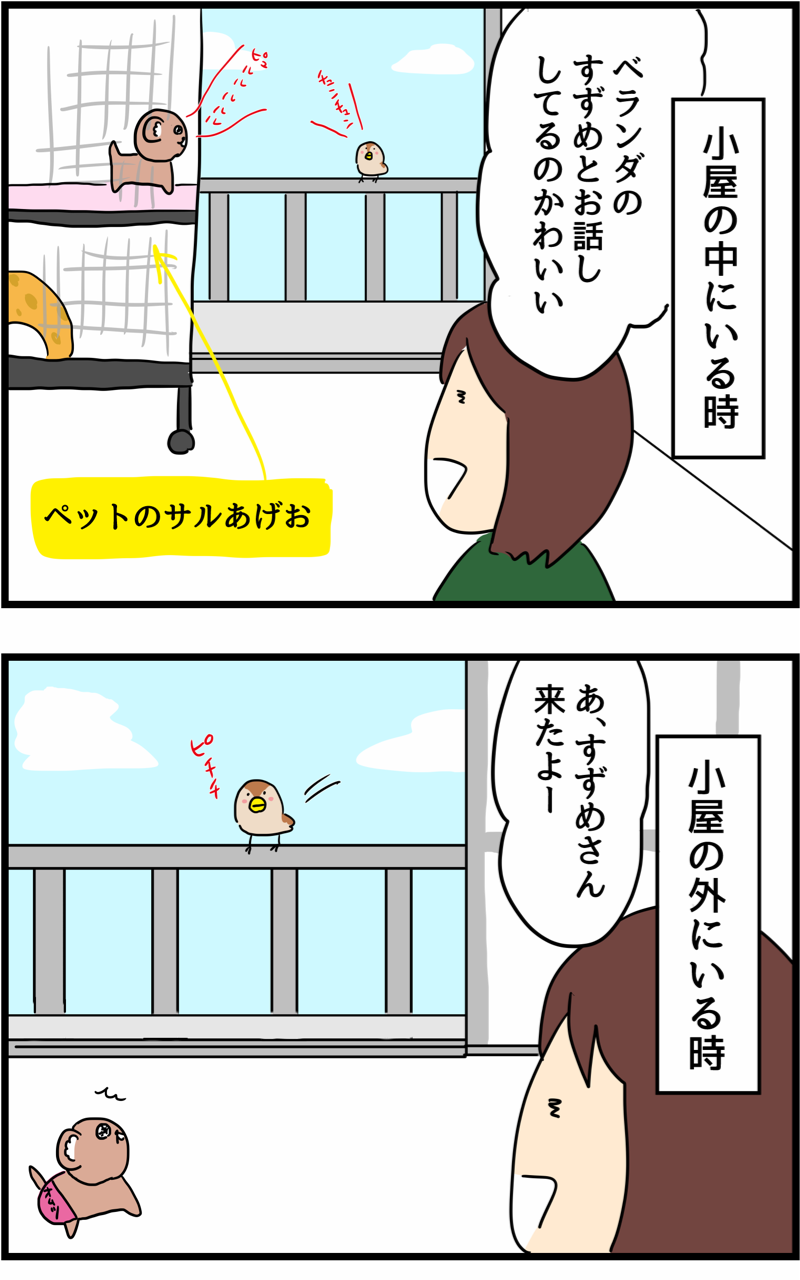 ペットのサルが小屋の中と外で態度が違う 人間まおと愉快な仲間たち Powered By ライブドアブログ ペットのサルが小屋の中と外で態度が違う 人間まおと愉快な仲間たち Powered By ライブドアブログ