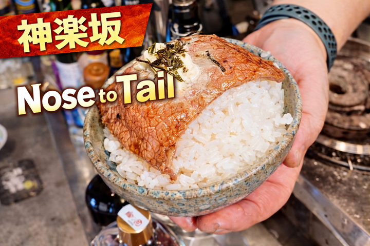 神楽坂_NosetoTail