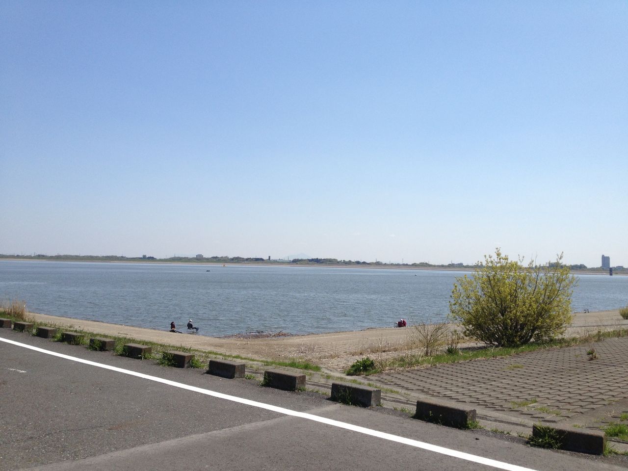 ボノボのぼのぼのブログ