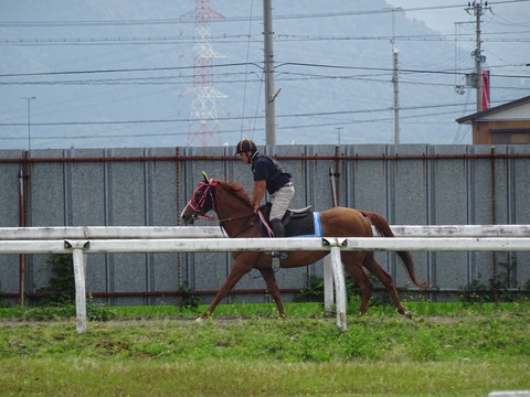 DSC07825