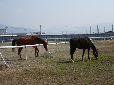 DSC04480