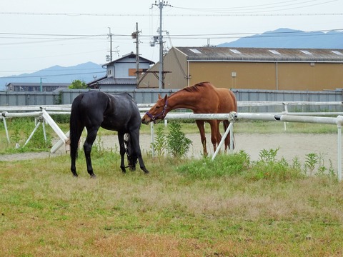 DSC05017