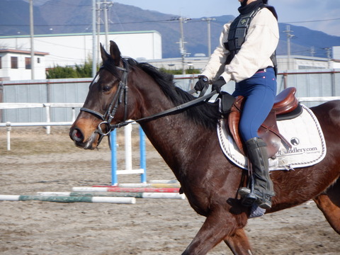 DSCF5106