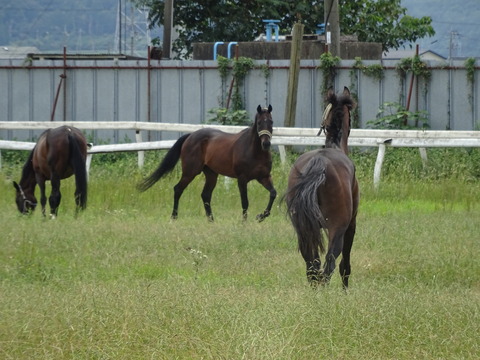 DSC08309