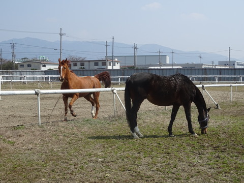DSC04477
