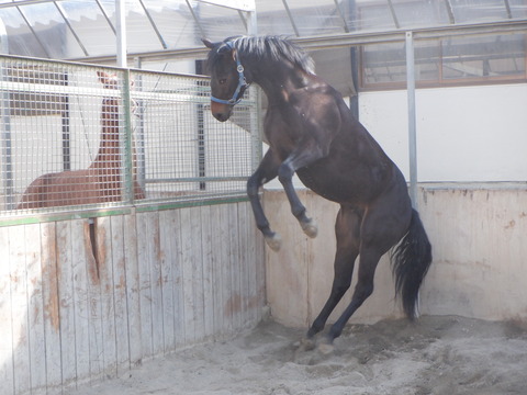 DSCF4859