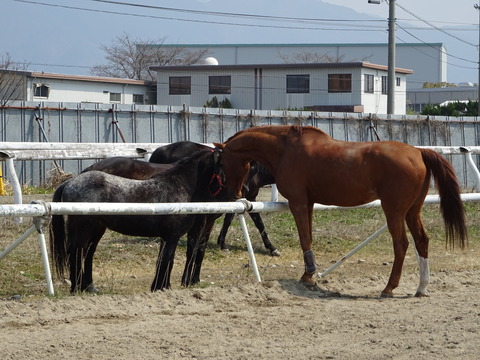 DSC04470