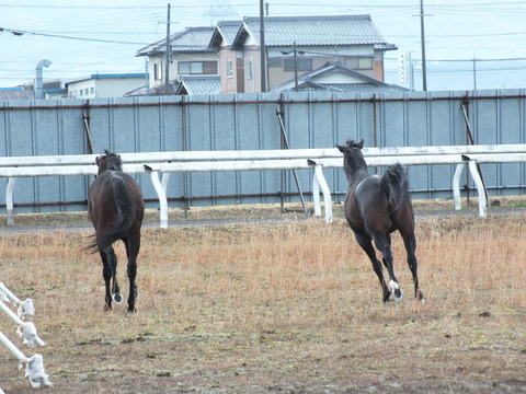 DSCF2849