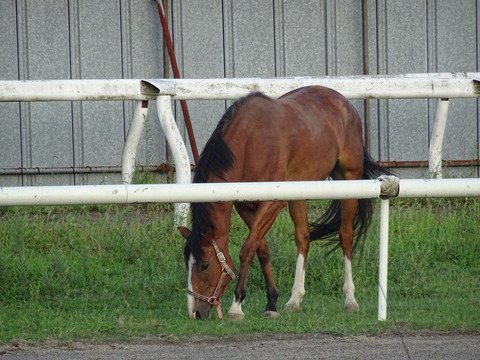 DSC02265