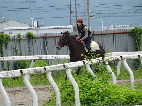 DSC07884