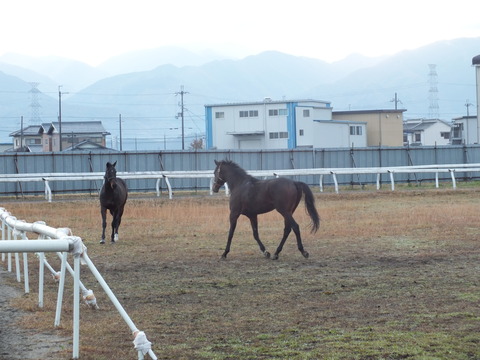 DSCF2848