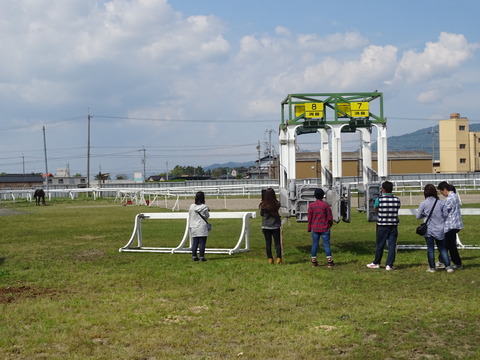 DSC05552
