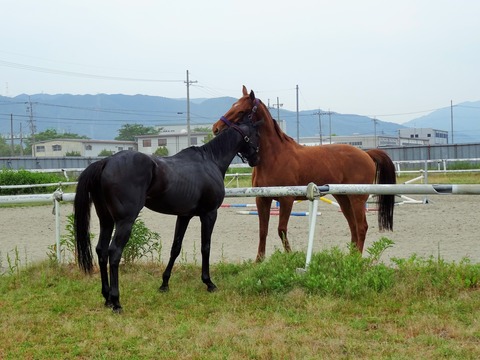 DSC05014