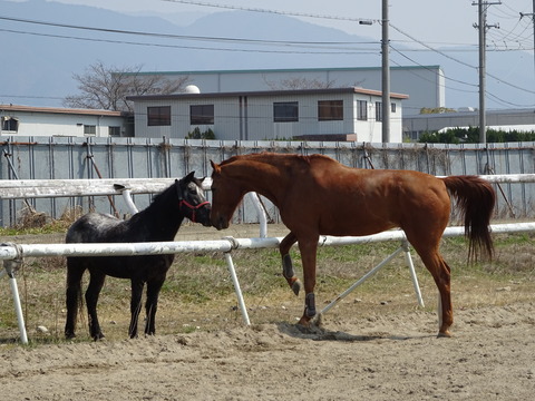 DSC04467