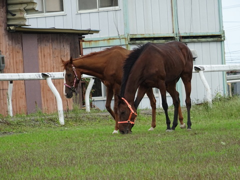 DSC09568