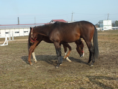 DSCF2173