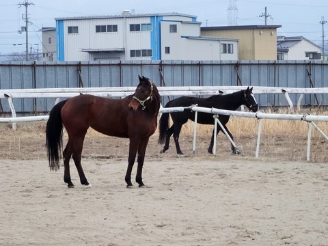 DSC02970