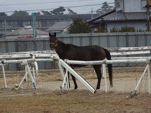 DSC02796