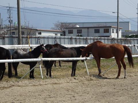 DSC04469