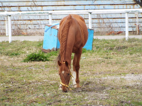 DSCF1039