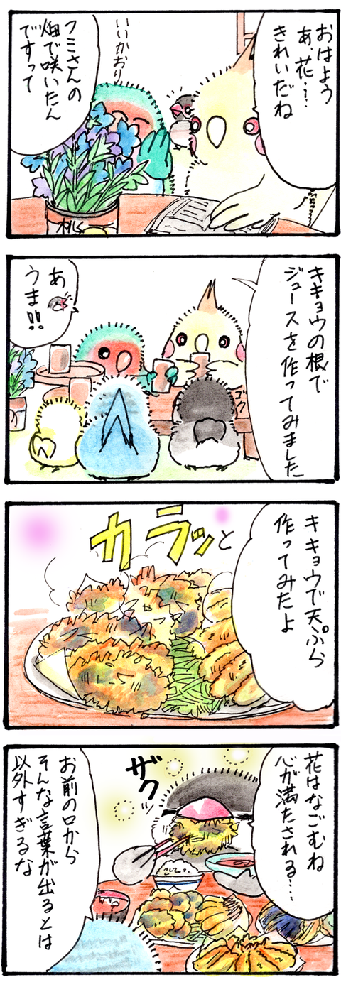 690 花は和むね心が満たされるね
