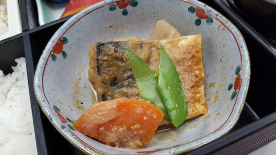 11_bentoniigata002