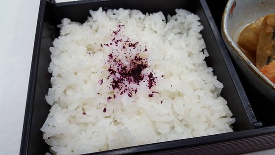 11_bentoniigata005