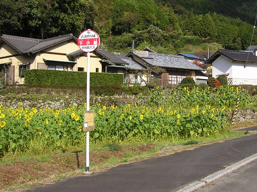 PB037695