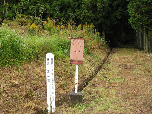 PB077856