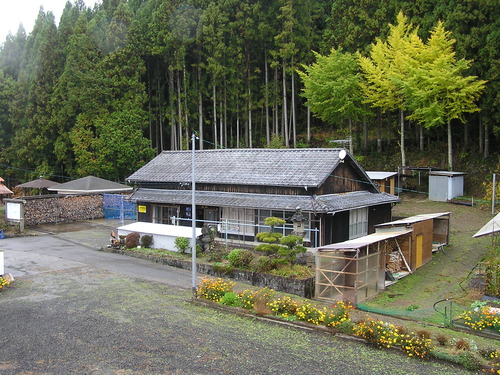 PB077848