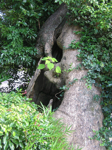 P7197610