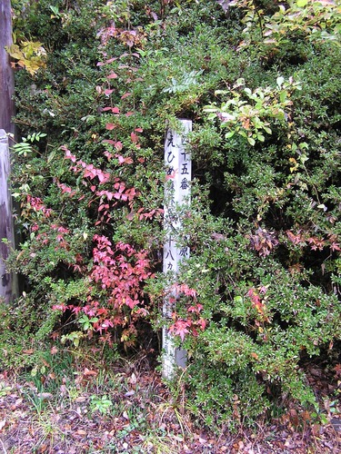 PB077821