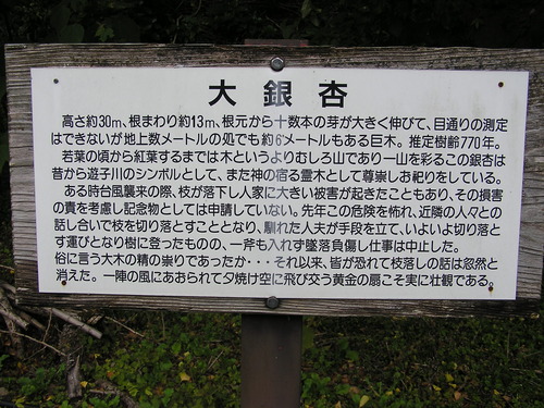 PB037592