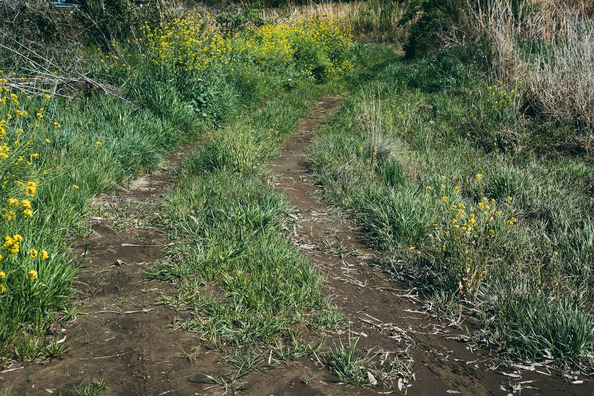 zubottyA524DSC_4887_TP_V