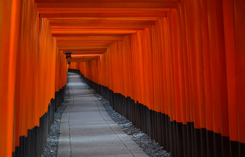 C784_fusimiinari500-thumb-779x500-2397