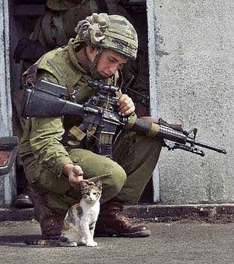 画像 戦争の切なくなる画像ください パラノーマルちゃんねる 2ch怖い話まとめ 画像 戦争の切なくなる画像ください パラノーマルちゃんねる 2ch怖い話まとめ