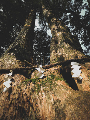 7AF55A76-879F-4721-AE85-D5924C44A814