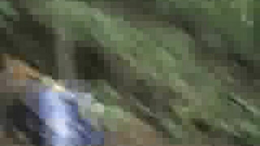 f8f88f8f8f