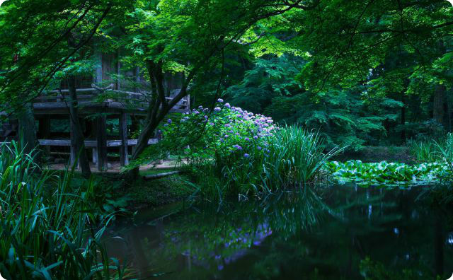 山の神社