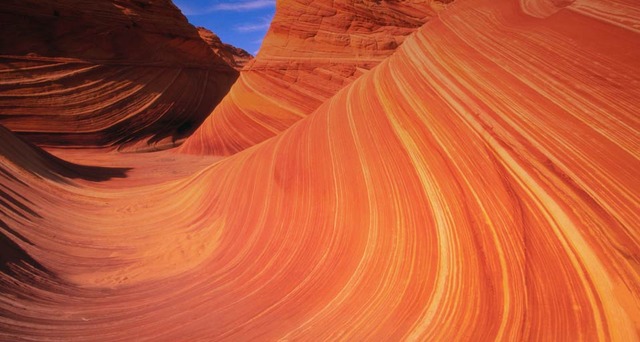 アメリカ コヨーテビュート(The wave)2