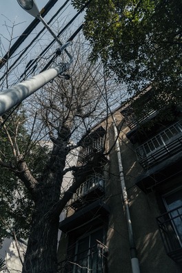 NKJ56_doujyunkaiaps_TP_V4