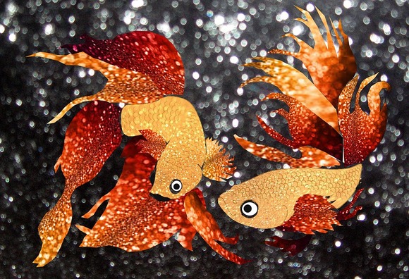 glitter-goldfish-1312463_960_720