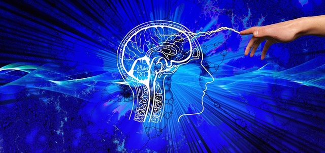 knowledge-3914811_960_720