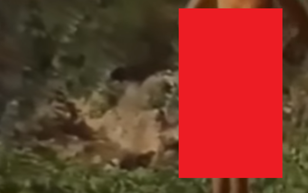 SnapCrab_NoName_2022-9-27_23-48-45_No-00