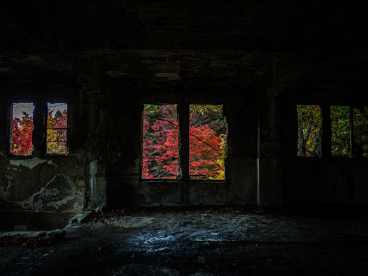 bobcablePB0801040314_TP_V