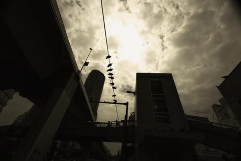 PAK59_densennitomarukyuukeihato500-thumb-750x500-3213