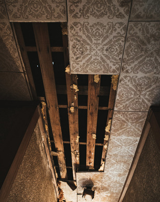 neru1172011643_TP_V4