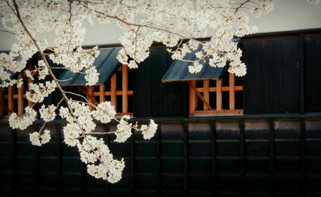 【怪談】春はあちらとこちらの世界の境界が少しあいまいになる