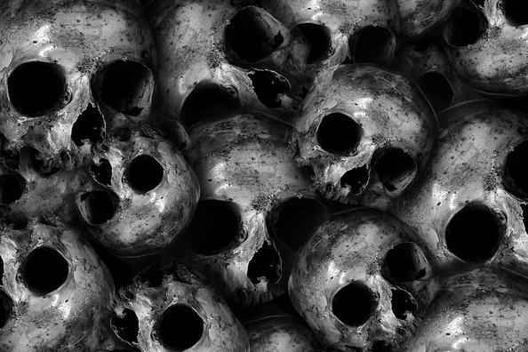 skull-3296026_960_720